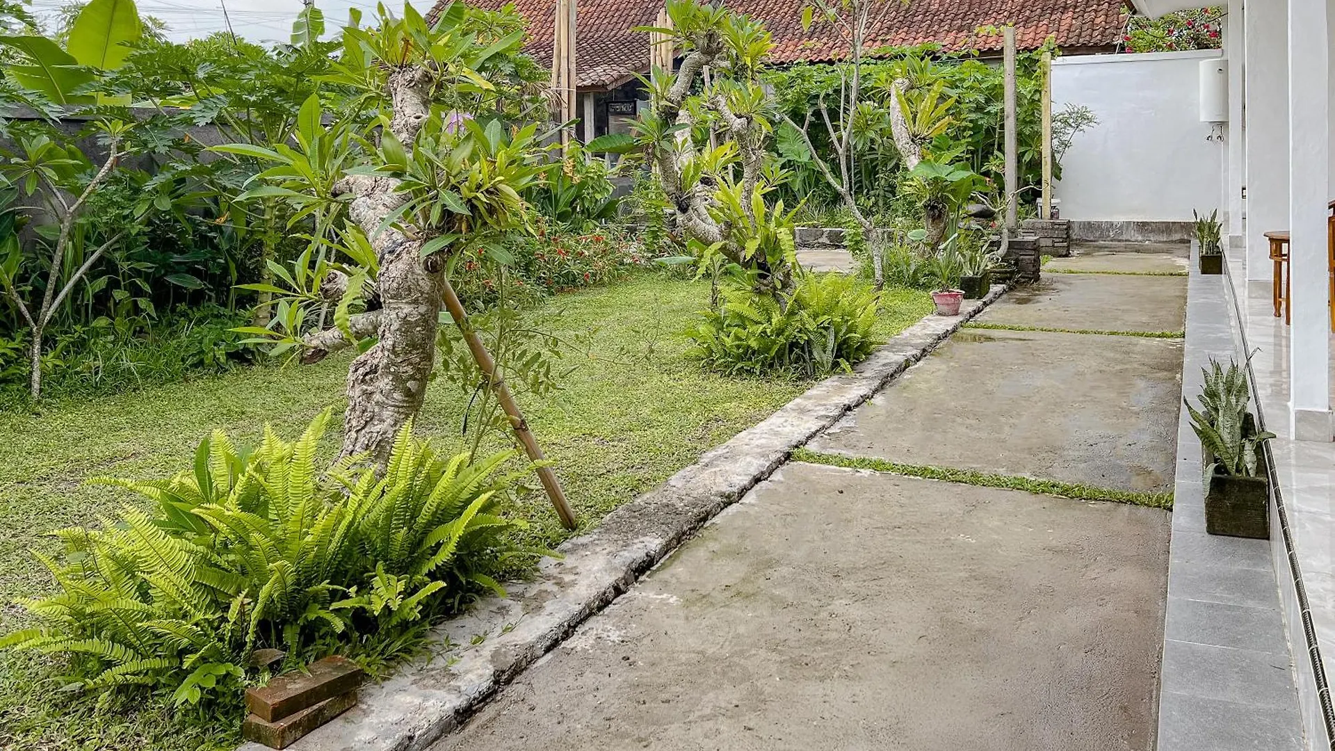 Apartment Donut Guest House Ubud
